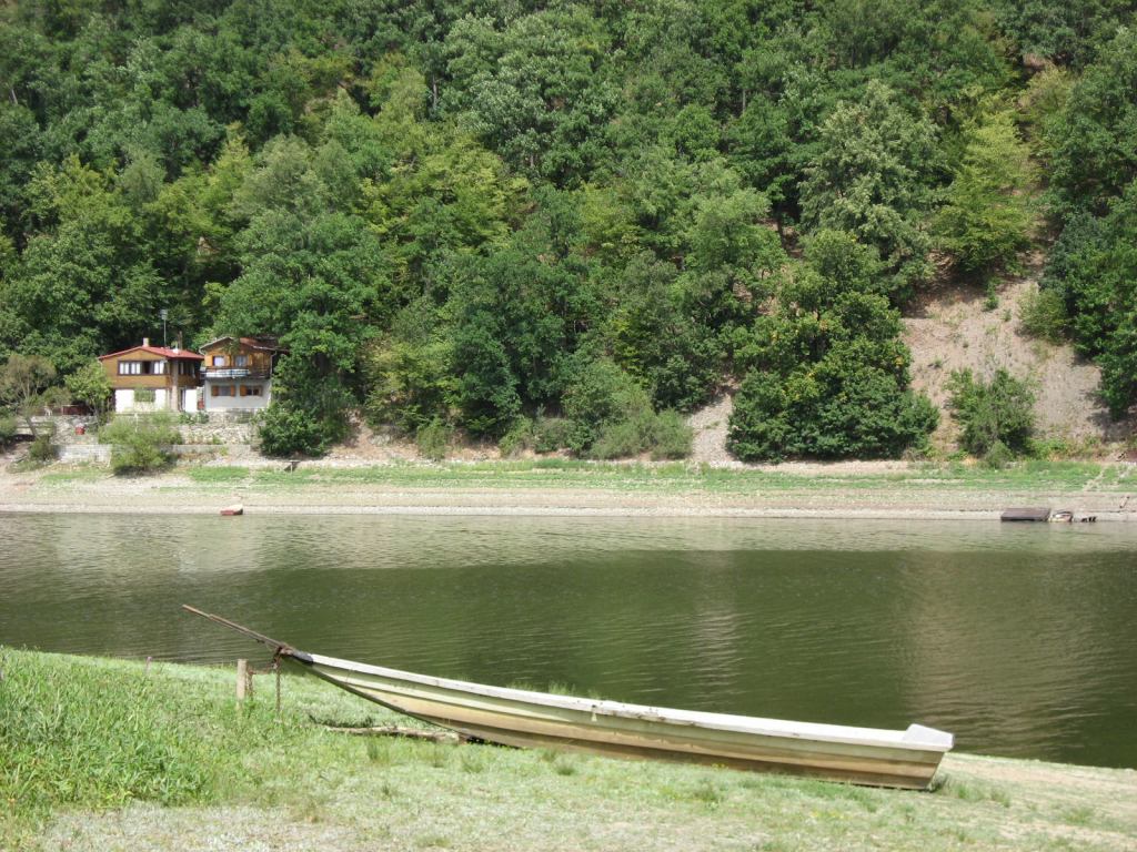 * Image 11