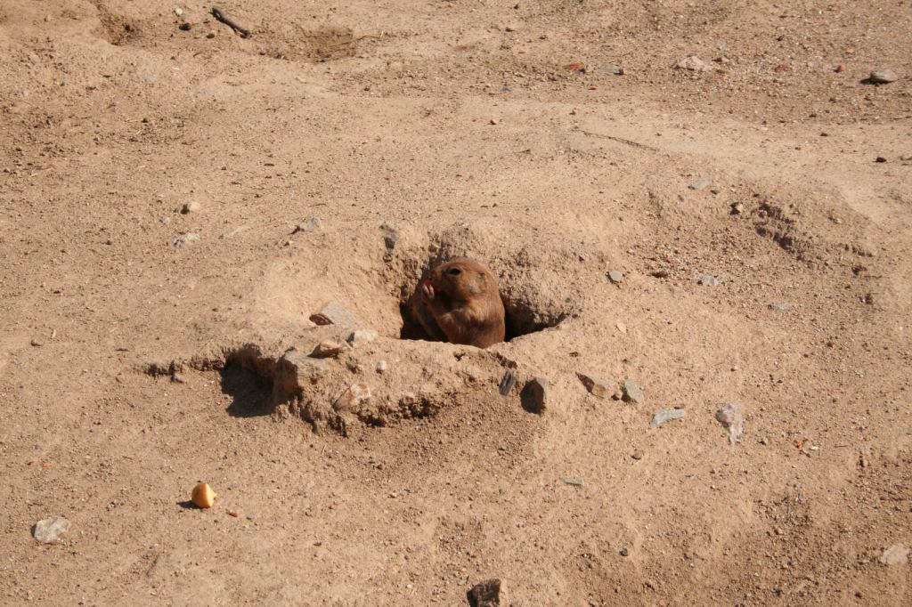 * Image 3