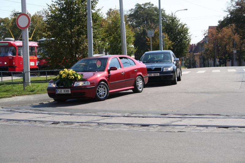 * Image 7