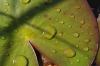 IMG_7125.jpg - 2007:09:28 14:01:22