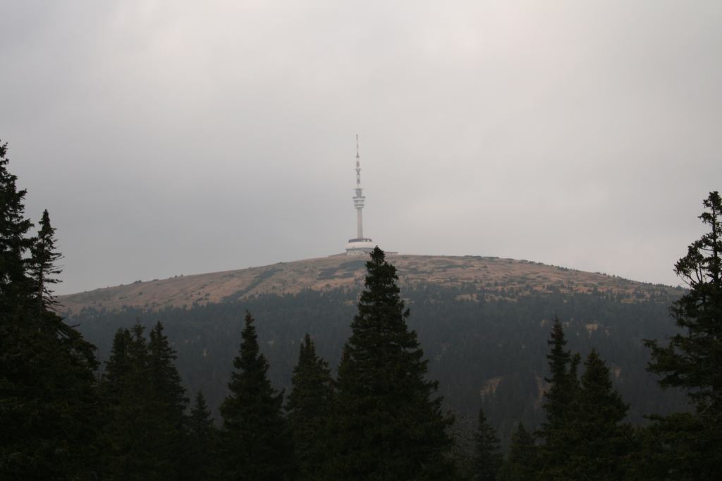 * Image 1