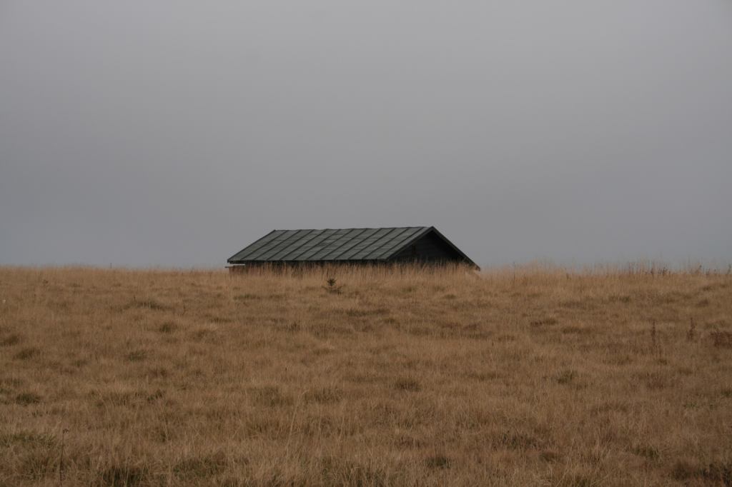 * Image 3