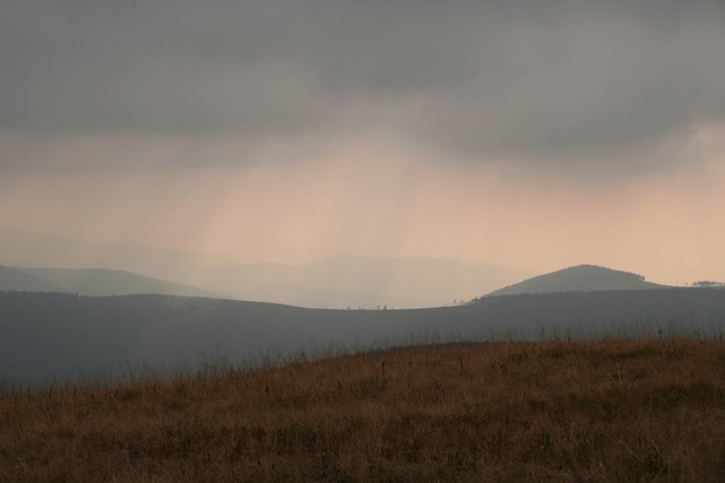 * Image 6