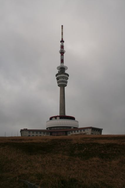 * Image 2