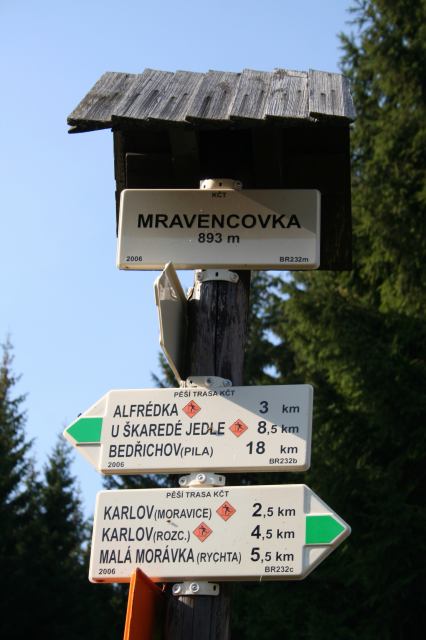 * Image 11