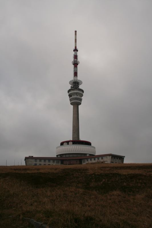 * Image 2