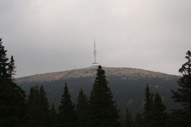 * Image 1