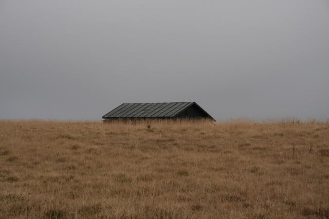 * Image 3