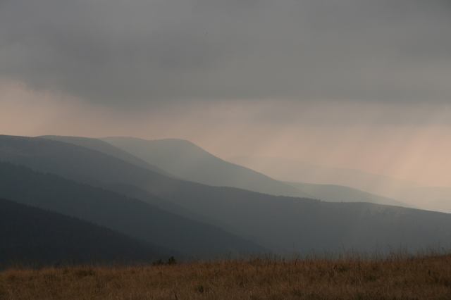 * Image 5