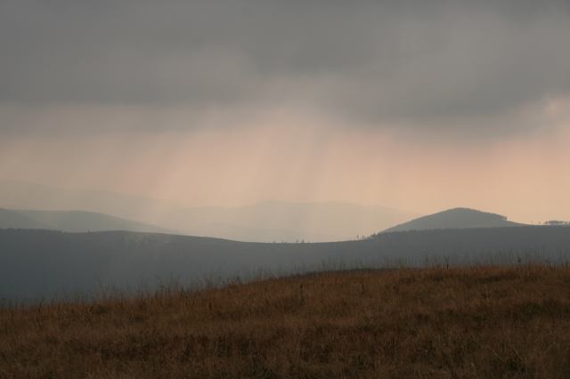 * Image 6