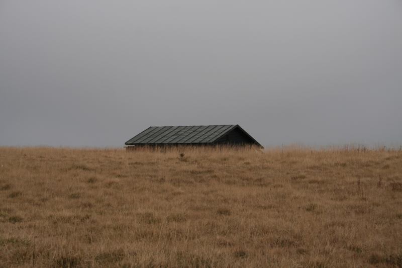 * Image 3