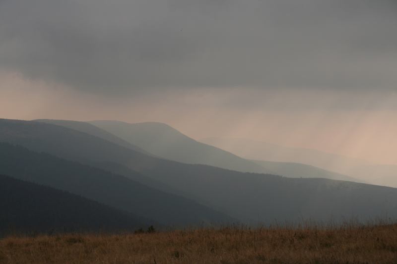 * Image 5