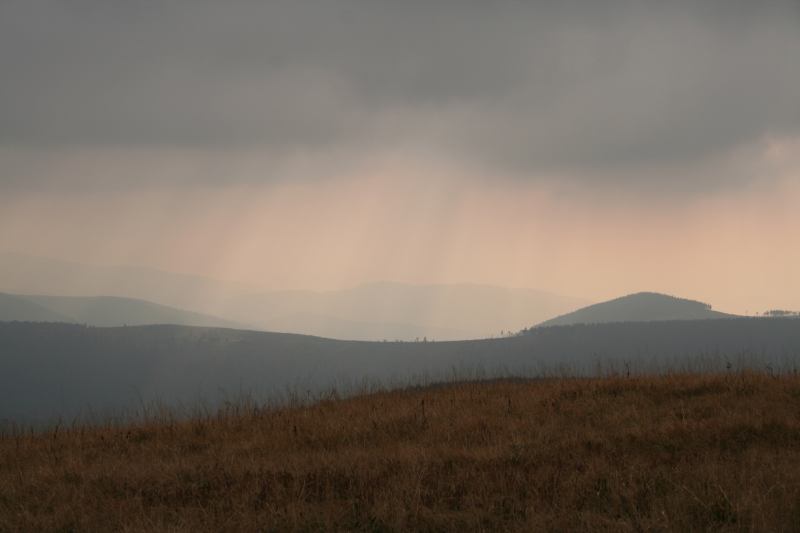 * Image 6